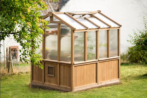 Kleines Gewächshaus mit transparentem Dach steht auf einer Rasenfläche im Garten neben einem Baum