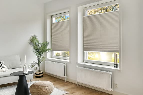 Wohnzimmer mit zwei Fenstern und halb geschlossenen Faltrollos, davor Sofa, runder Tisch, Pouf und große Zimmerpflanze