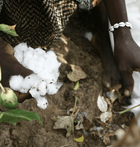 FSC und Cotton made in Africa