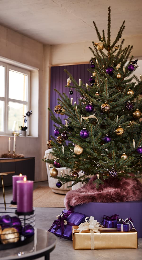 Purpel Glam
