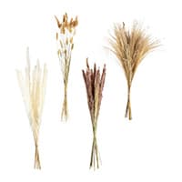Vier verschiedene getrocknete Gräsersträuße in Weiß, Braun und Beige nebeneinander auf weißem Hintergrund