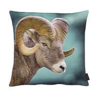 Kissen mit Bild eines Widders mit imposanten Hörnern vor verschwommenem Hintergrund