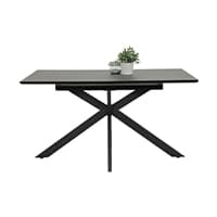 Rechteckiger Esstisch mit schwarzem Gestell, darauf stehen zwei Pflanztöpfe mit grünen Pflanzen