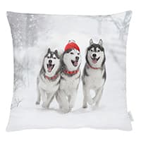 Drei Huskys laufen im Schnee, der mittlere trägt eine rote Mütze und rotes Halsband, die beiden äußeren haben rote Halsbänder