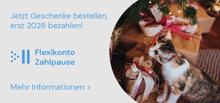 Flexikonto Zahlpause – Katze schnuppert an verpackten Geschenken unter einem Weihnachtsbaum