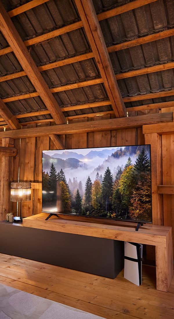 Flachbildfernseher mit Wald- und Berglandschaft auf Sideboard in rustikalem Dachzimmer mit Holzverkleidung