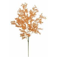 Zweig mit vielen feinen, orangefarbenen Blättern auf schlankem, grünem Stiel
