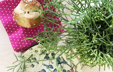 osterpinze-backen-mit-christina-titel