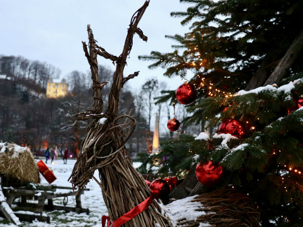 Hirsch zu Weihnachten in Hellbrunn