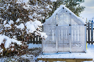 Gartenarbeiten im Dezember