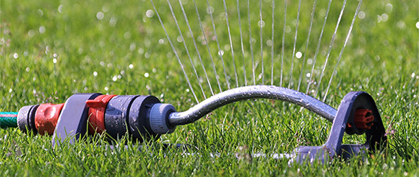 Gartenarbeiten im Juli - Rasensprenger