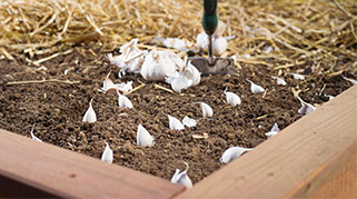 Gartenarbeiten Im September Die To Do S Universal