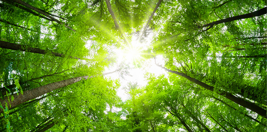 Weitere Klimaschutzmaßnahmen bei Universal
