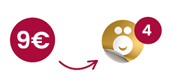 Erklärung 2