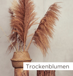 Wohntrends Trockenblumen