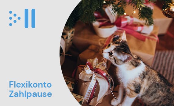 Flexikonto Zahlpause – Katze beschnuppert Geschenke unter einem Weihnachtsbaum
